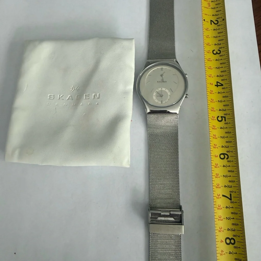 Skagen Denmark Silver Mesh Watch Dual Time Zone (Model 733XLSS)